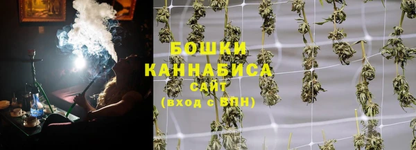 гидра Каменногорск
