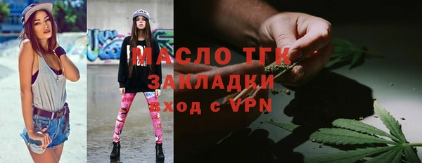 гидра Каменногорск
