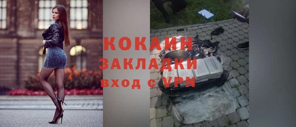 гидра Каменногорск