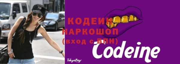 гидра Каменногорск