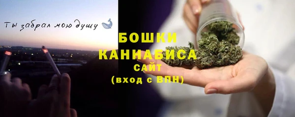 гидра Каменногорск