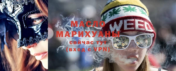 гидра Каменногорск