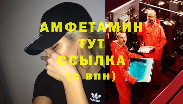 гидра Каменногорск