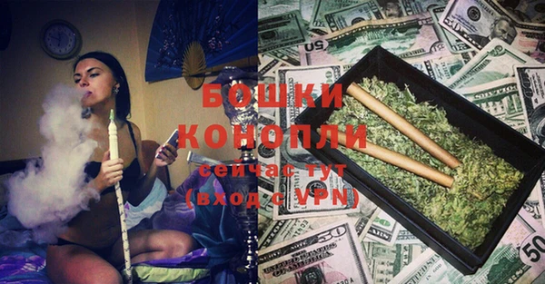 гидра Каменногорск