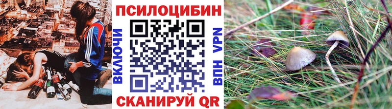 Псилоцибиновые грибы GOLDEN TEACHER  Санкт-Петербург 
